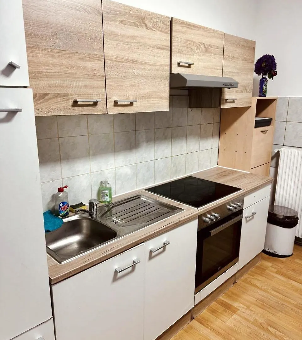 Cozy Apartment In Maerzstrasse Area Mz10 Viena